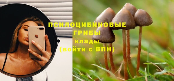 спиды Зерноград
