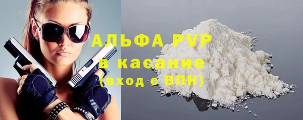 ГАЛЛЮЦИНОГЕННЫЕ ГРИБЫ Инсар