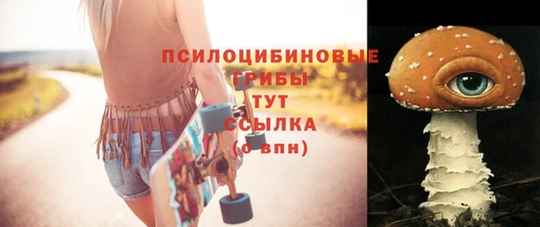 спиды Зерноград