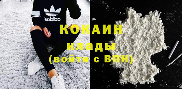 ГАЛЛЮЦИНОГЕННЫЕ ГРИБЫ Инсар