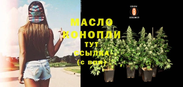 ГАЛЛЮЦИНОГЕННЫЕ ГРИБЫ Инсар