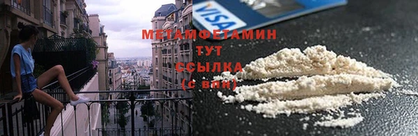 прущие грибы Заволжск